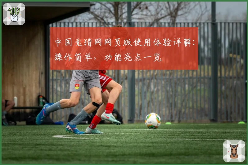 中国竞猜网网页版使用体验详解：操作简单，功能亮点一览