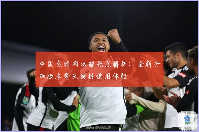 中国竞猜网功能亮点解析：全新升级版本带来便捷使用体验